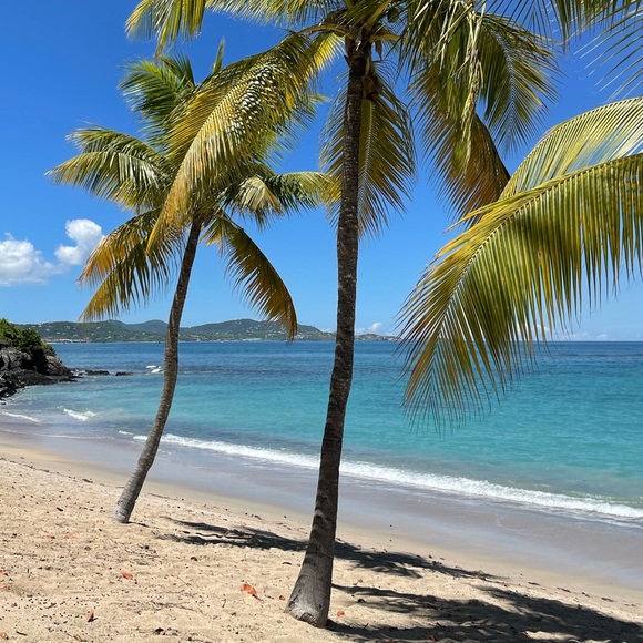 Meet your Posher, Sarah - Picture 1 of 1